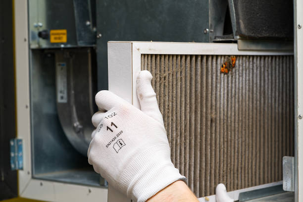 Best HVAC Air Duct Cleaning  in Rineyville, KY