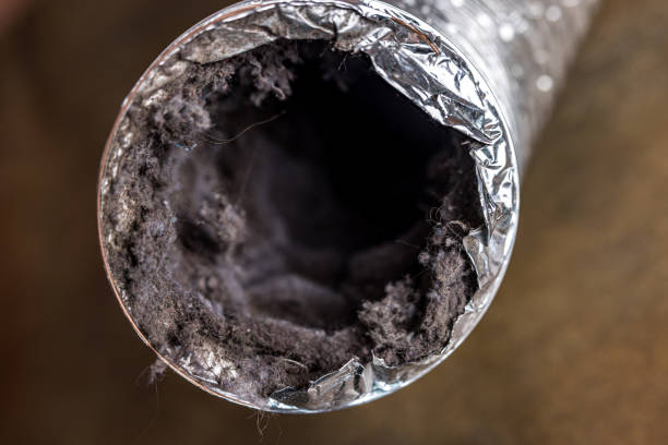 Best Air Duct Cleaning Near Me  in Rineyville, KY