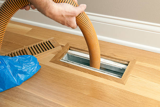Best Affordable Duct Cleaning Services  in Rineyville, KY