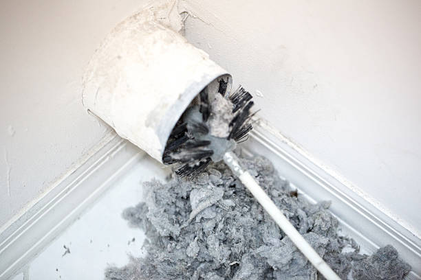 Best Air Vent Cleaning Services  in Rineyville, KY